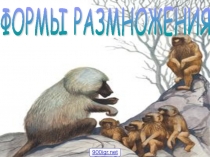 ФОРМЫ РАЗМНОЖЕНИЯ 