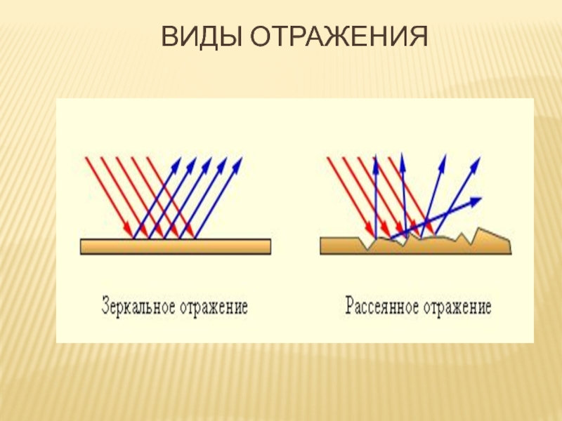 Закон отражения света картинка