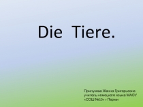 Die Tiere