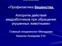 Профилактика бешенства 