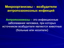 Сибирская язва 