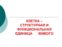 Клетка живого организма 