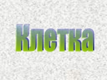 Органоиды клетки