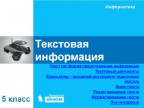 Текстовая информация 