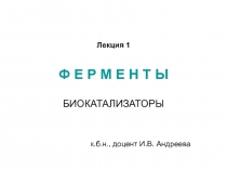 Ферменты биокатализаторы 