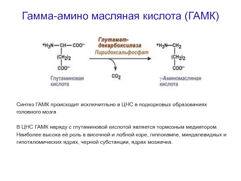 Обмен аминокислот. Синтез гамма аминолевулиновой кислоты. Образование ГАМК. Глутамат в ГАМК. Производные ГАМК.