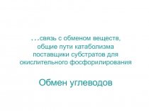 Обмен углеводов