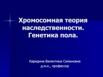 Хромосомная теория наследственности. Генетика пола