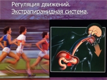 СТРИОПАЛЛИДАРНАЯ СИСТЕМА. МЕТОДИКА ИССЛЕДОВАНИЯ. СИНДРОМЫ ПОРАЖЕНИЯ