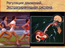 СТРИОПАЛЛИДАРНАЯ СИСТЕМА. МЕТОДИКА ИССЛЕДОВАНИЯ. СИНДРОМЫ ПОРАЖЕНИЯ