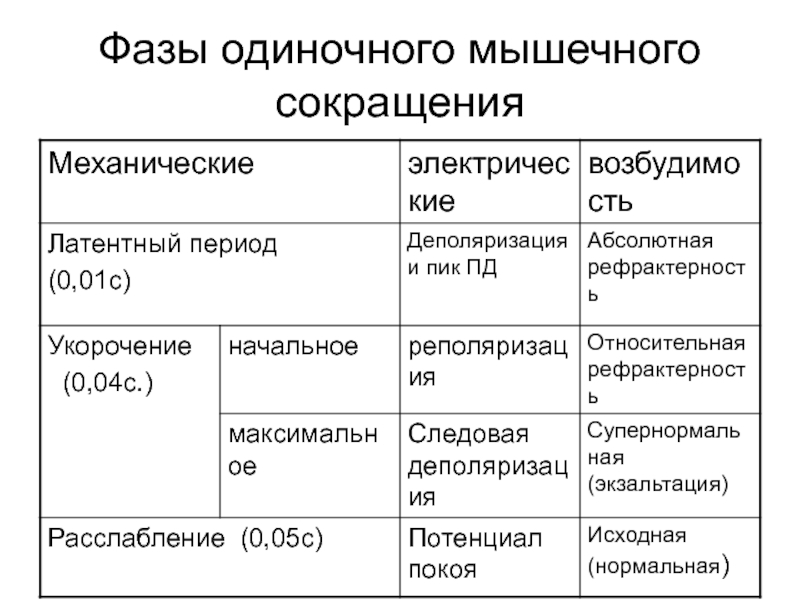 Период сокращения. Фазы одиночного мышечного сокращения. Фазы одиночного сокращения скелетной мышцы. Одиночное сокращение и его фазы. Одиночное сокращение мышцы и его фазы.