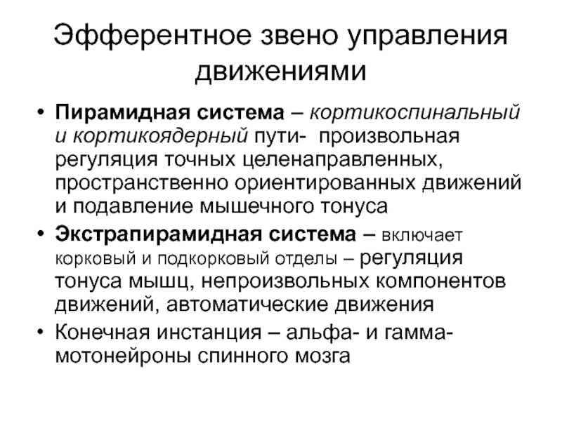 Произвольная регуляция. Пирамидная система функции. Пирамидная и экстрапирамидная регуляция. Пирамидная и экстрапирамидная системы управления движениями. Звенья управления.