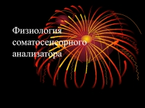Физиология соматосенсорного анализатора