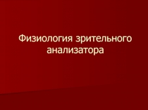 Физиология зрительного  анализатора 