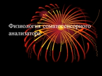 Физиология соматосенсорного анализатора