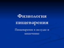 Пищеварение в желудке и кишечнике 