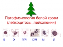 Лейкоцитозы и лейкопении