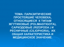 Кишечные простейшие 