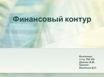 Финансовый контур 