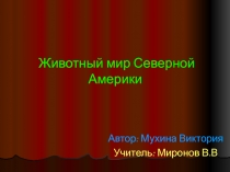 Животный мир Северной Америки 