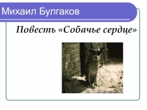 Повесть Собачье сердце
