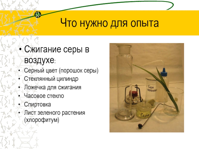 Кислотные дожди Что нужно для опытаСжигание серы в воздухе:Серный цвет (порошок серы)Стеклянный цилиндрЛожечка Что нужно для опытаСжигание серы в воздухе:Серный цвет (порошок серы)Стеклянный цилиндрЛожечка для сжиганияЧасовое стеклоСпиртовкаЛист зеленого растения (хлорофитум)