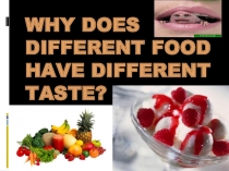  different food
