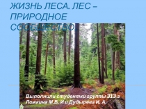 Жизнь леса. Лес – природное сообщество 