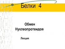 Обмен нуклеопротеидов.ppt