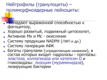 Новые научные данные о метаболизме железа 