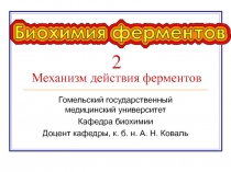 Биохимия ферментов-2.ppt