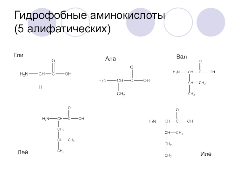 Гли ала. Гли ала вал лей. Алифатические аминокислоты биохимия. Алифатические Альфа аминокислоты. Аминокислоты с алифатическим радикалом.