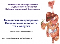 Физиология пищеварения 