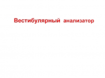 Вестибулярный анализ 