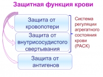 Гемостаз 