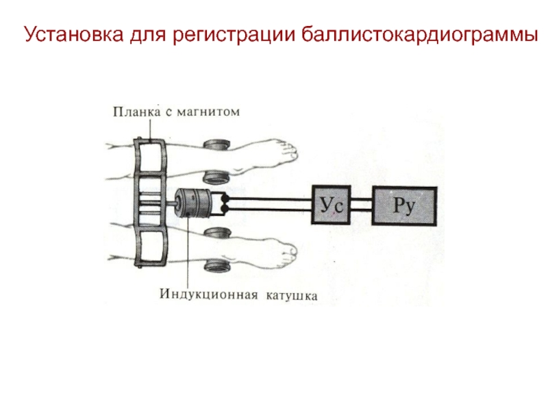 Деятельность и установка