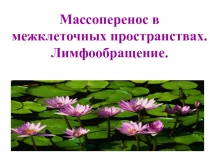 Массоперенос в межклеточных пространствах 