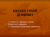 Бюджетный дефицит 