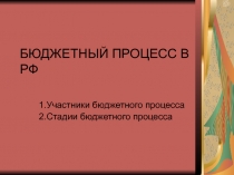 Бюджетный процесс в РФ