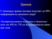 Зрение