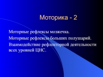 Моторные рефлексы мозжечка 