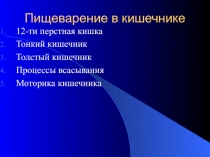 Пищеварение в кишечнике