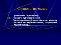 Физиология мышц