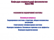 Эндокринная система