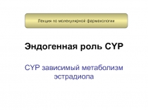Метаболизм эстрадиола 