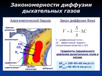 Закономерности диффузии дыхательных газов