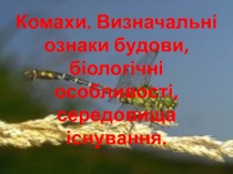 КОМАХИ