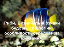 РИБИ. ВИЗН. ОЗН. БУДОВИ