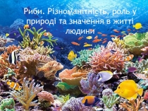 РИБИ. РІЗНОМ. ТА РОЛЬ У ПРИРОДІ