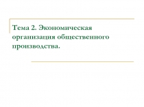 Экономическая организация общественного производства